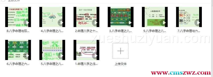 张灵然 决胜千里易学班八字命理9集插图