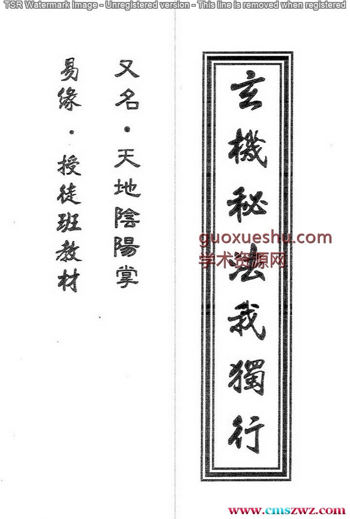 易缘-玄机秘法我独行_又名天地阴阳掌.pdf插图
