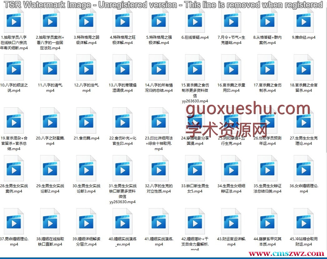 2023年最新盲派职业班课程 易尘75集插图