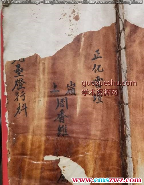 正化雷坛（九盏灯行科）.pdf插图