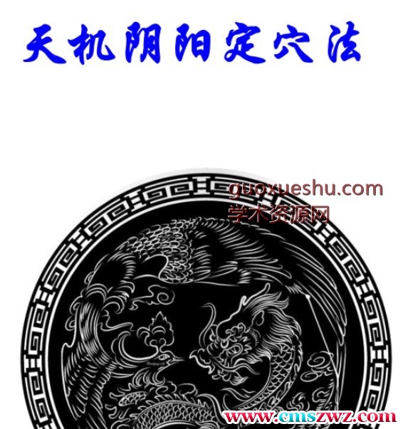 赖公天机阴阳定穴法插图