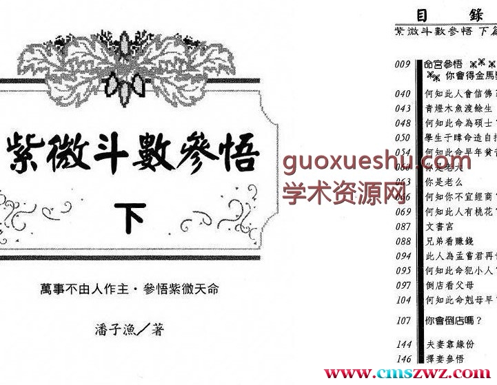 潘子渔-紫微斗数参悟下册插图
