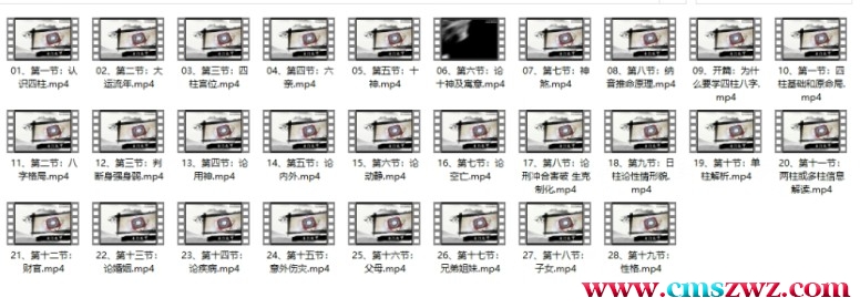 高鸿儒《四柱八字初中级课程》28集插图 高鸿儒《四柱八字初中级课程》28集插图