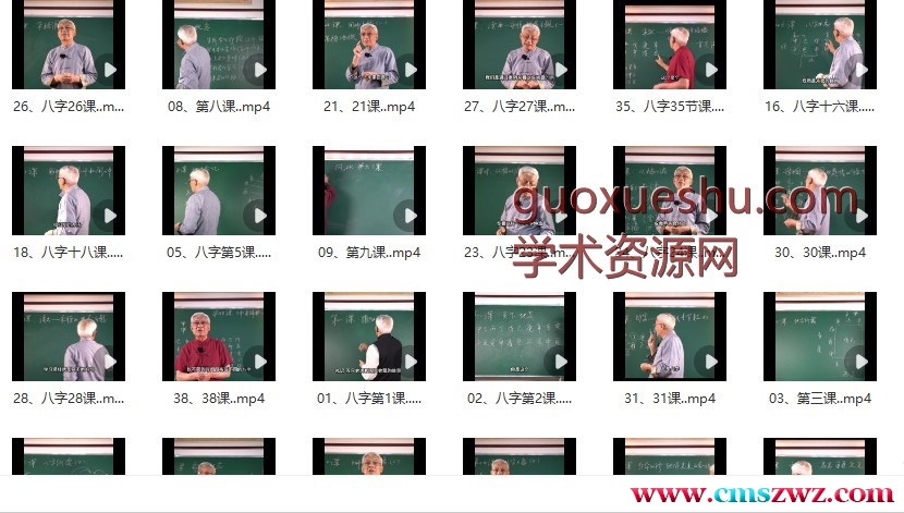 2408137 张绍金《绍金讲八字》38集插图