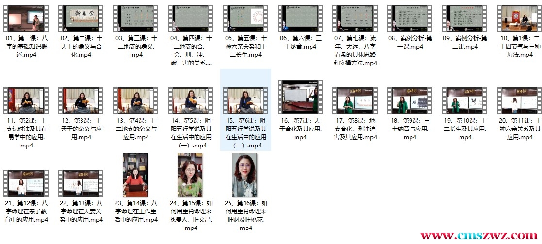 陈晓华《八字调运》25集插图
