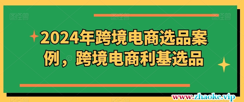 2024年跨境电商选品案例，跨境电商利基选品（更新11月）