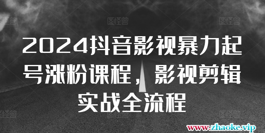 2024抖音影视暴力起号涨粉课程，影视剪辑搬运实战全流程