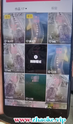 外面卖399的国学佛像原创暴力起号技术,快速起号,7天可达到一个万粉号