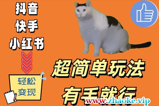 超简单玩法，有手就行，靠猫咪视频日入500+【揭秘】