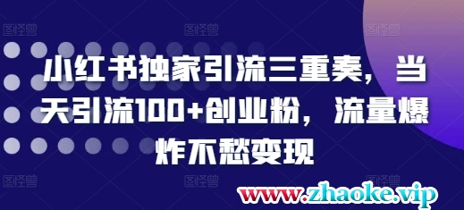 小红书独家引流三重奏，当天引流100+创业粉，流量爆炸不愁变现【揭秘】