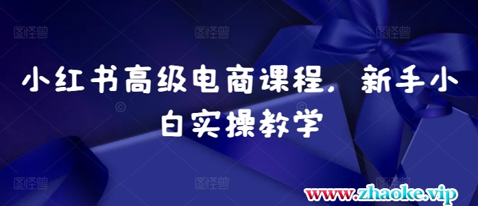 小红书高级电商课程，新手小白实操教学