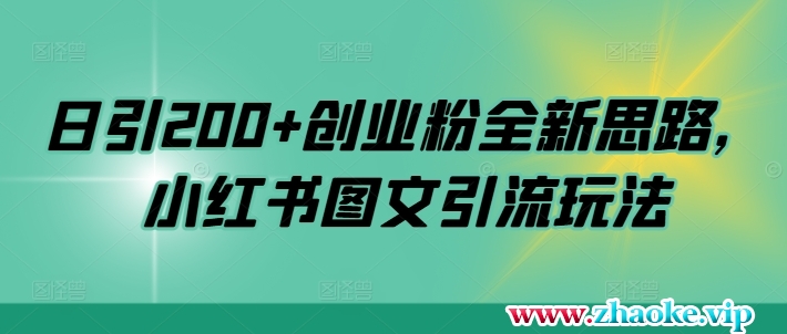 日引200+创业粉全新思路，小红书图文引流玩法【揭秘】