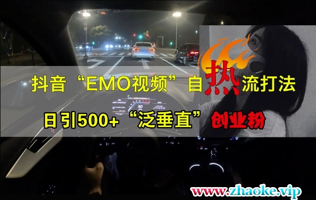 抖音EMO视频自热打法,日引500+“泛垂直”创业粉