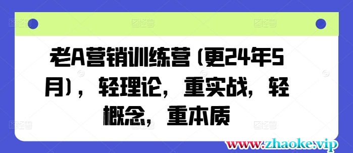 老A营销训练营(更24年11月),轻理论,重实战,轻概念,重本质