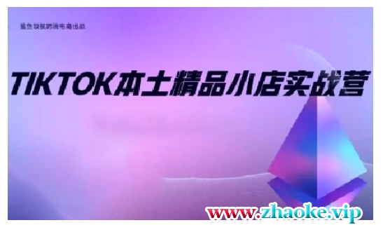 TikTok本土精品小店出海实战营,从入门到高阶,不止0-1!