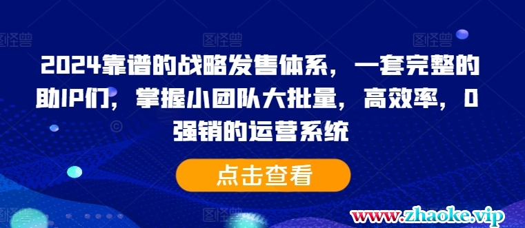 2024靠谱的战略发售体系,一套完整的助IP们,掌握小团队大批量,高效率,0 强销的运营系统
