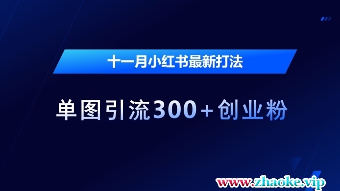 十一月小红书最新打法，单图引流300+创业粉【揭秘】