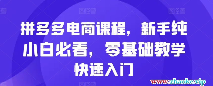 拼多多电商课程，新手纯小白必看，零基础教学快速入门