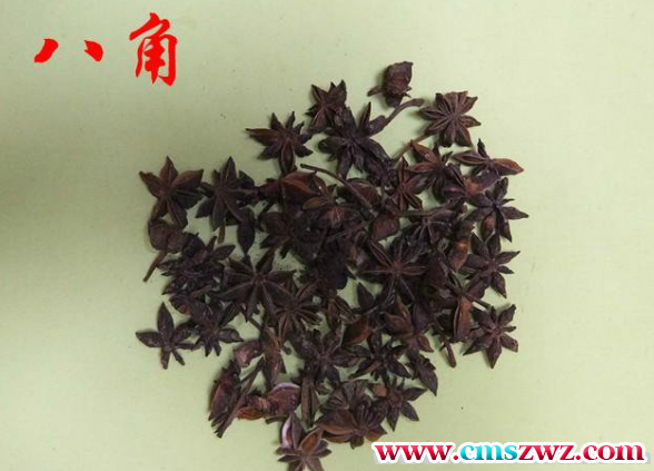 091043vnutczjnqsmdqas6