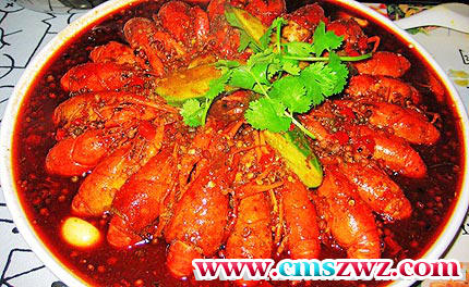 124117qu08ual1z8hn8eyu