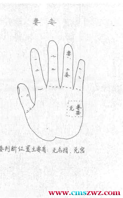 Snipaste_2022-04-03_17-29-01