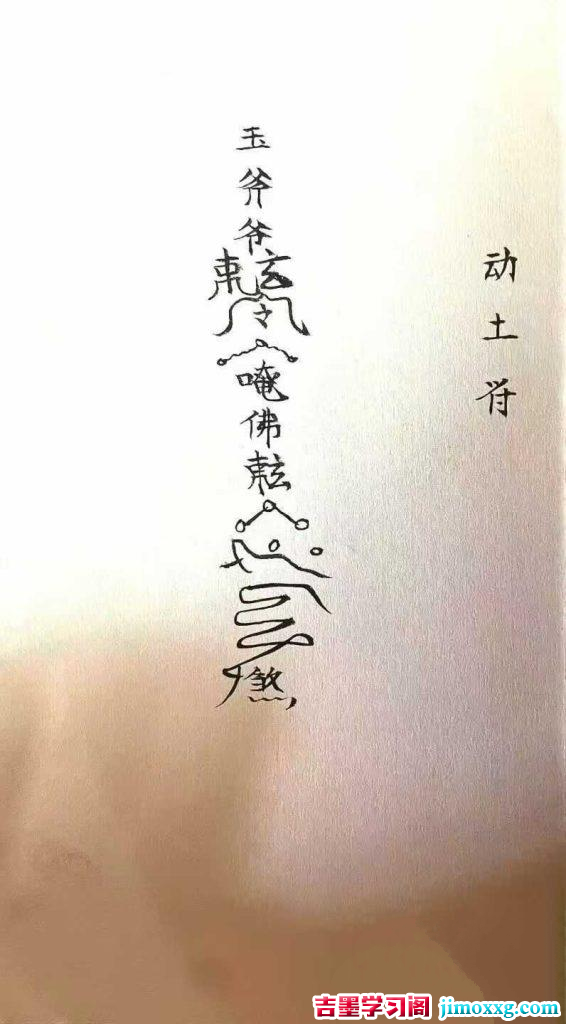 09031431154-566x1024