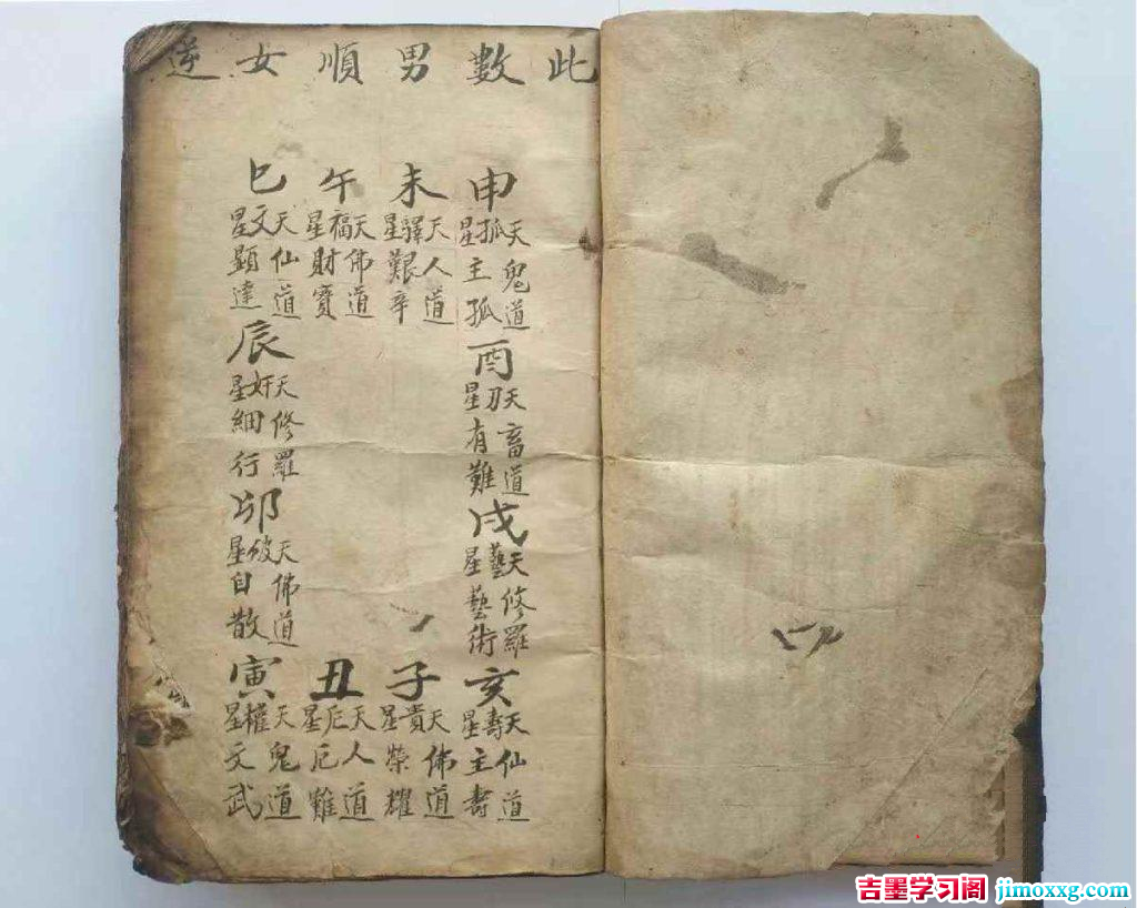 25075000461-1024x818