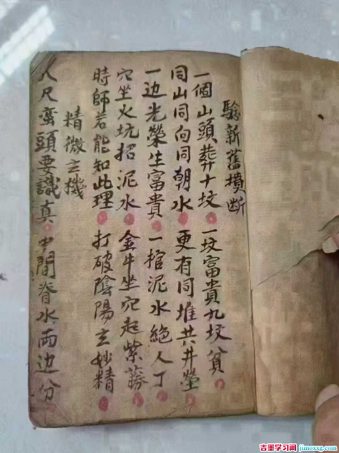 1774339003-b46321d56d643cf 1774339003-b46321d56d643cf