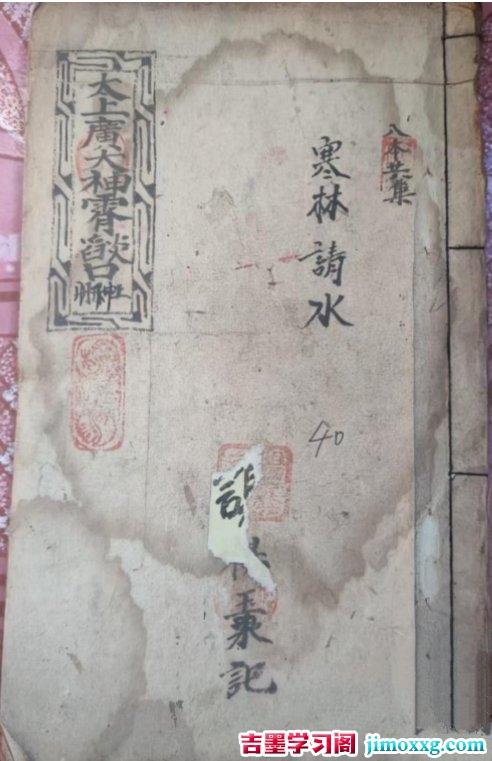 31040003664 31040003664