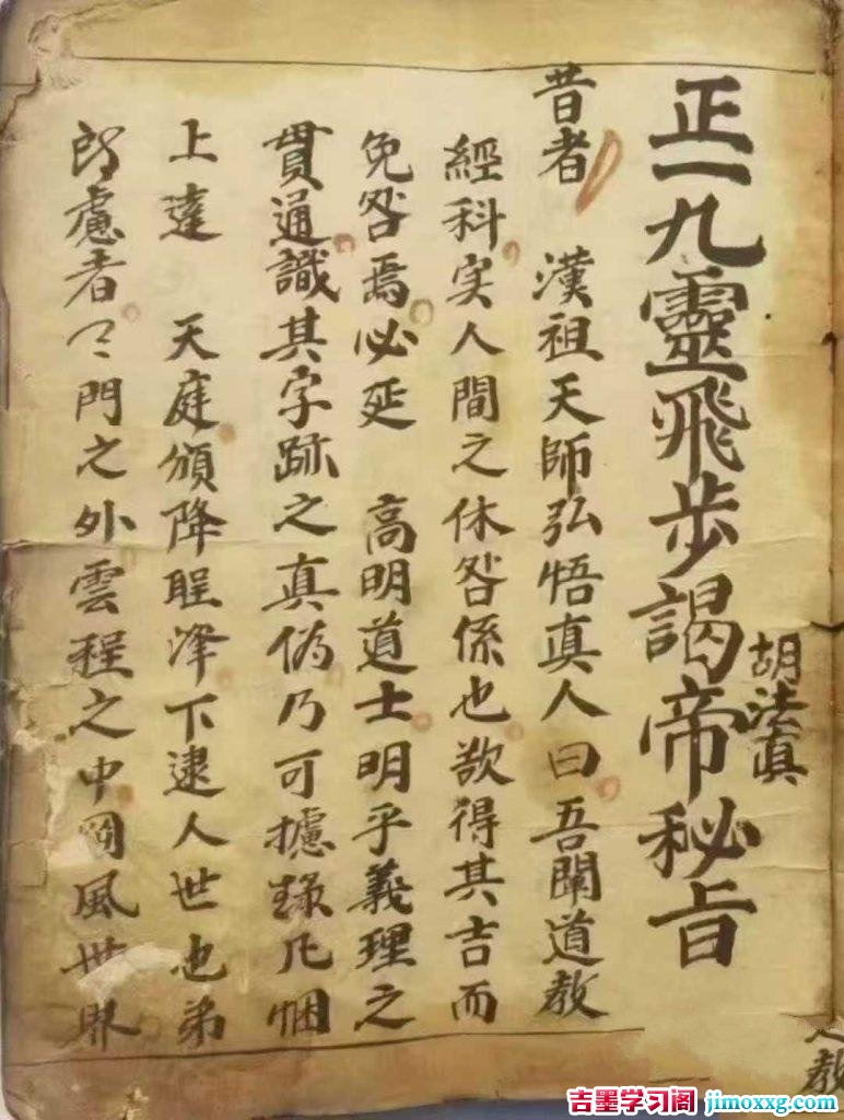 31040202101-772x1024 31040202101-772x1024