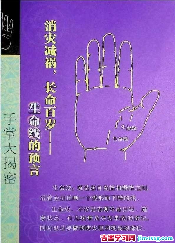 1775613197-b8709c0f4de25f8