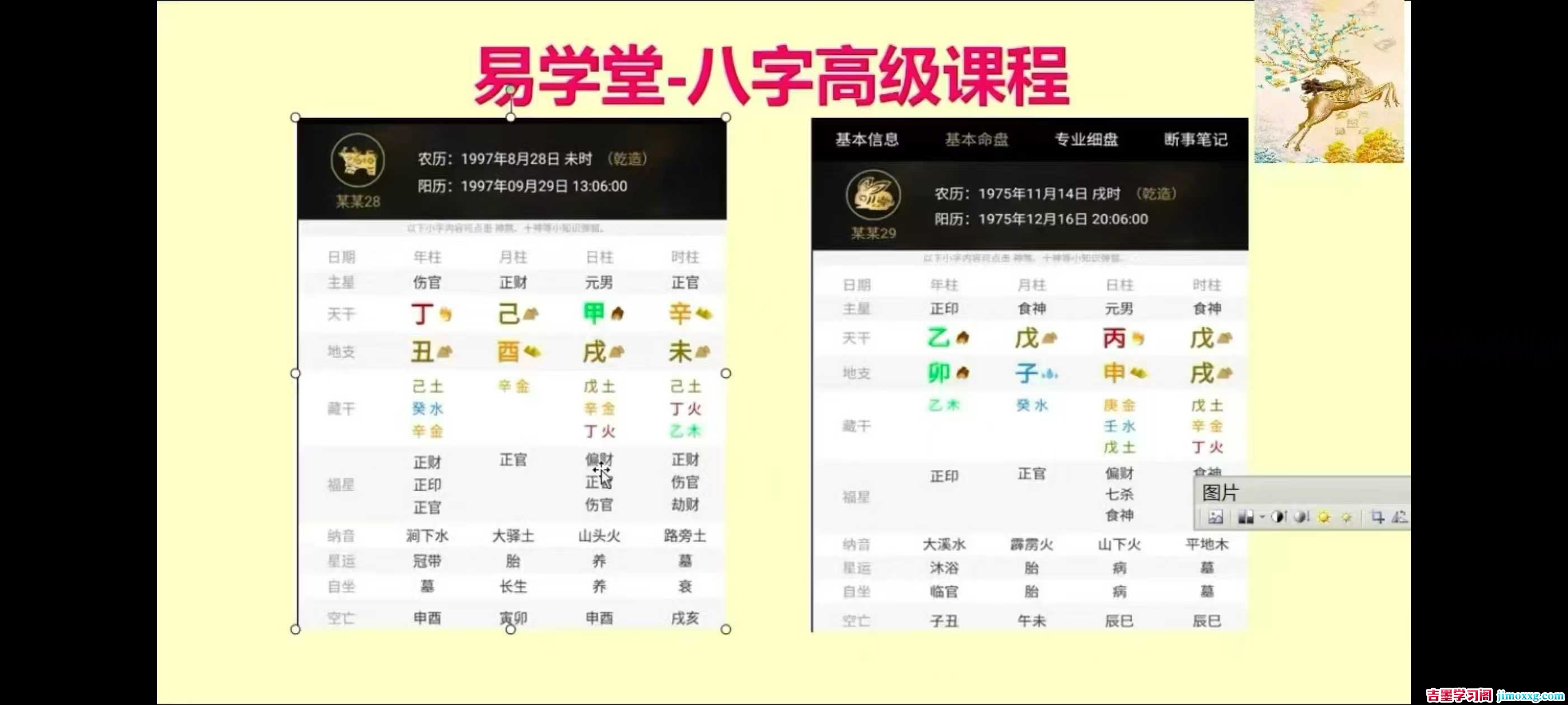 1782819843-c81e728d9d4c2f6 1782819843-c81e728d9d4c2f6