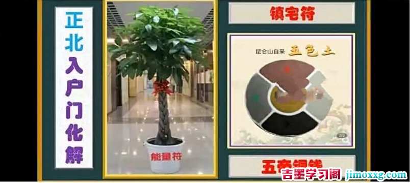 1783081370-c81e728d9d4c2f6